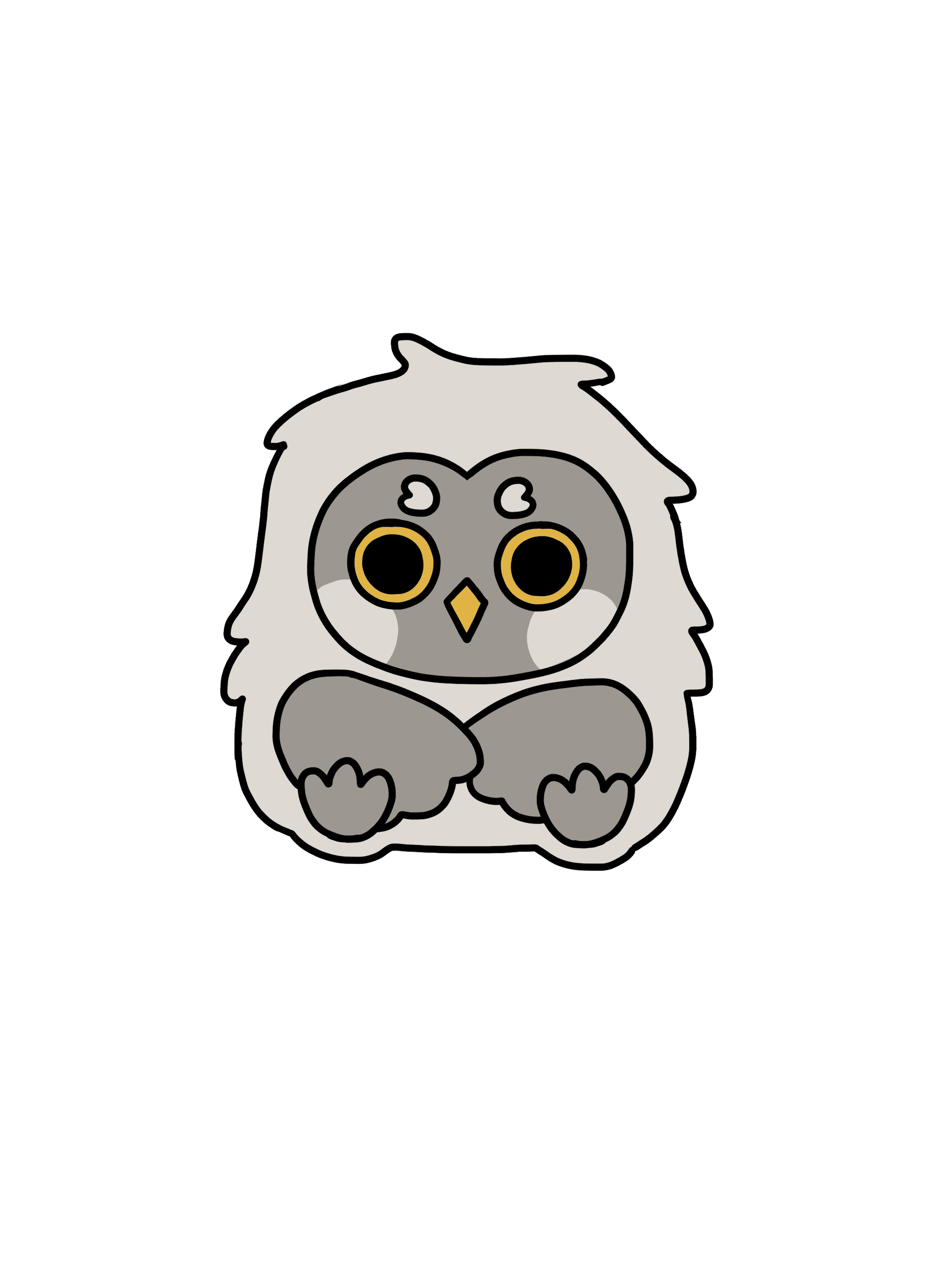 Owl Image